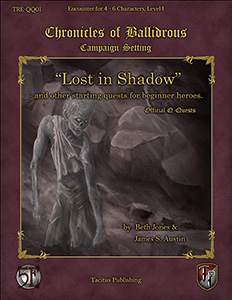 “Lost in Shadow” - and other starting quests for beginner heroes.